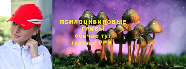 мдпв Бронницы